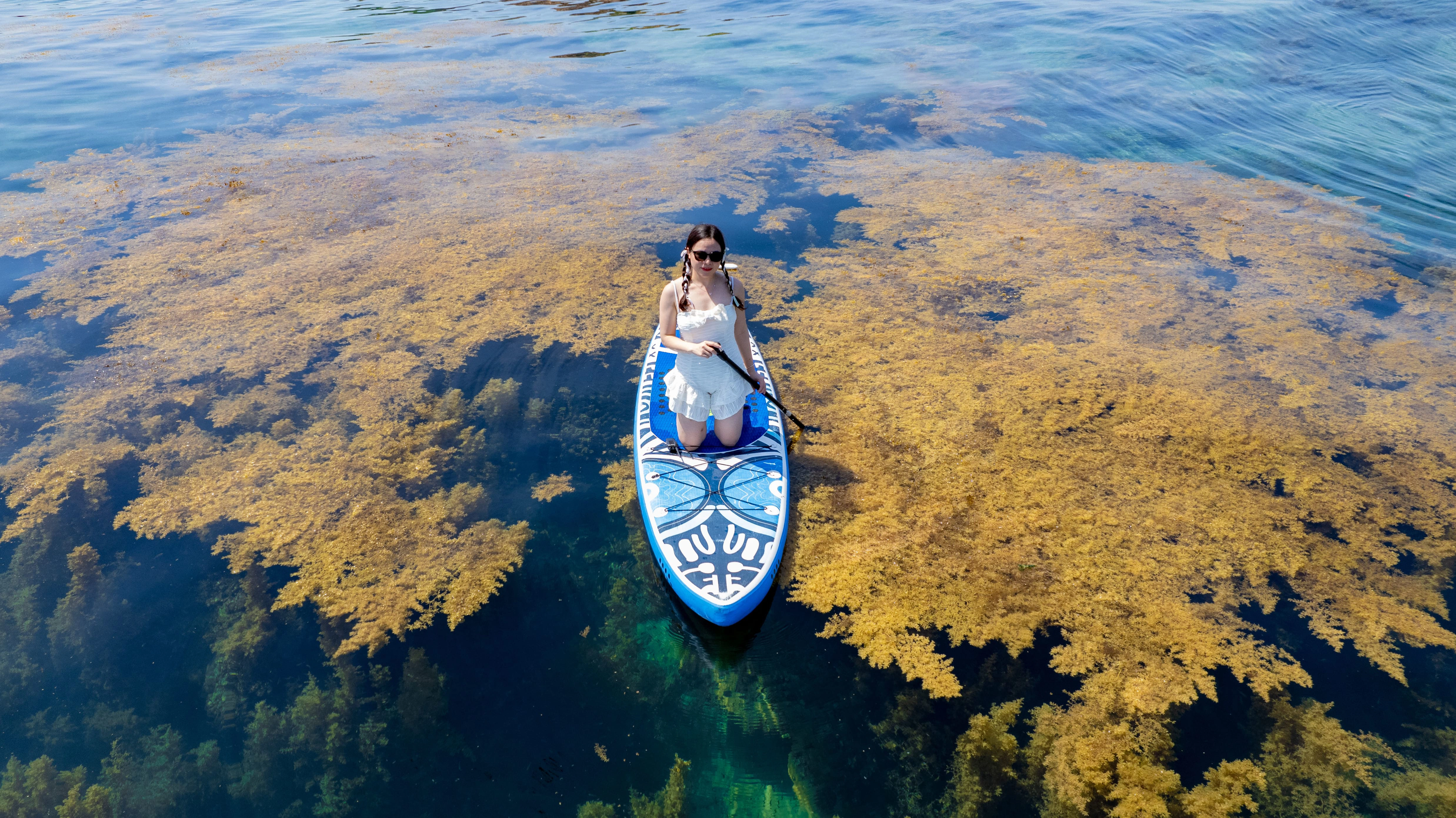Private tour | The coral gardens of Hon Kho - Snorkeling & Island Adventure in Quy Nhon